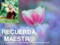 Recuerdamaestr@