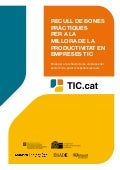 Recull practiques milloraproductivitat-empresestic-juny2010