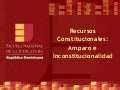 ENJ-300 Recursos Constitucionales  Amparo e Inconstitucionalidad