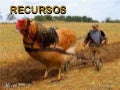Recursos de Enfermería