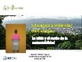 Situación Ambiental de Caracas (2012)