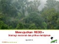Mewujudkan REDD+ Strategi nasional dan pilihan kebijakan