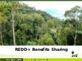 REDD+ Benefits Sharing