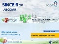 SincorSP - ABCDMR - Curso Gestão de Rede Sociais - Introdução as Redes Sociais 