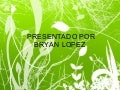 Red Local Lopez