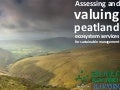 VNN Peatlands Project Update