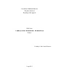 referaat