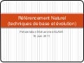 Referencement analytiques