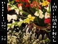 Reflections On Impermanence