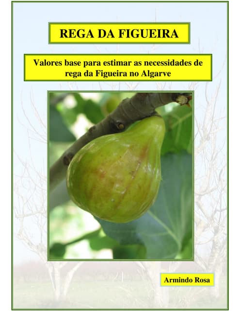 Rega das figueiras 1