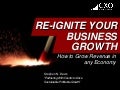 Re-ignite Your Business Growth: How to Grow Your Business in any Economy