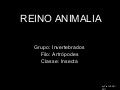 Reino animalia artrópodes,insetos ok