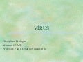 Reinos monera fungi virus