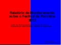 Relatorio parintins2012 Facebook