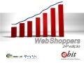 Relatório Webshoppers 24