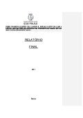 Relatório final da CPI da Eletropaulo na CMSP
