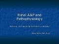 Renal s2010