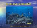 Repaso del relieve submarino