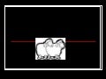 Reproduccion Ovina 223