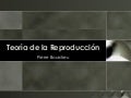 Reproduccion Social Y Cultural