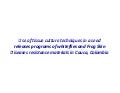 Use of tissue culture techniques in a seed releases programs of whiteflies and frog skin diseases resistance materials in Cauca, Colombia