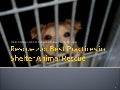 Rescue 2.0