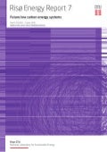 Risoe Energy Report 7