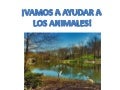 Respeto al animal cuento