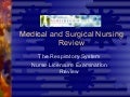 NurseReview.Org Respiratory System