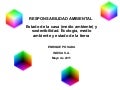 Responsabilidad ambiental 