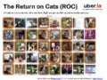Return on Cats - the ROI of Cute Animal Pics and Memes
