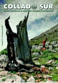 Revista31