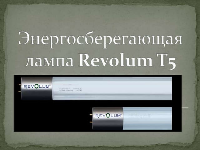 Бизнес-проект "Энергосберегающая лампа Revolum T5"