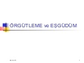 öRgütleme ve eşgüdüm