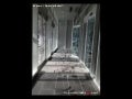 Rhizome - Ombre et Reflet (Inédit)