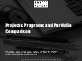 Project, Program and Portfolio Comparison