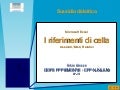 I riferimenti di cella in EXCEL