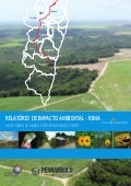 EIA/Rima do Arco Viário