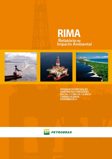 Rima - Relatório de Impacto Ambiental