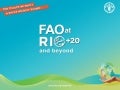 FAO at RIO+20 and beyond