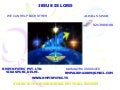 Rmp Site,Login,Incentive,Tv,Traning Information