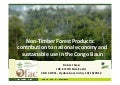Non-Timber Forest Products: contribution to national economy and sustainable use in the Congo Basin