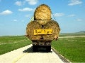 Road Signs
