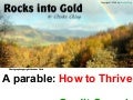 Rocks Into Gold - Helping Programmers THRIVE through the Credit Crunch - by Clarke Ching