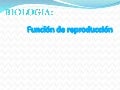 Rodríguez soruhet fleitas otero trabajo final