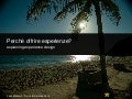 User Experience ROI