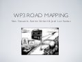 Role WP3 roadmapping