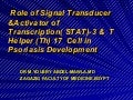 Role  of stat3   protein & thelper 17  cell in psoriasis  development by yousry