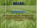 Roles de los miembros del grupo