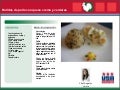 Rollito de pollo con queso crema y verduras